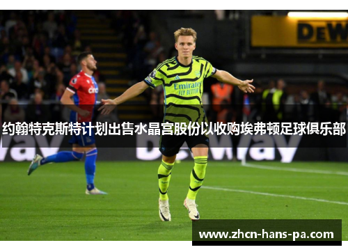 约翰特克斯特计划出售水晶宫股份以收购埃弗顿足球俱乐部 约翰特克斯特计划出售水晶宫股份以收购埃弗顿足球俱乐部
